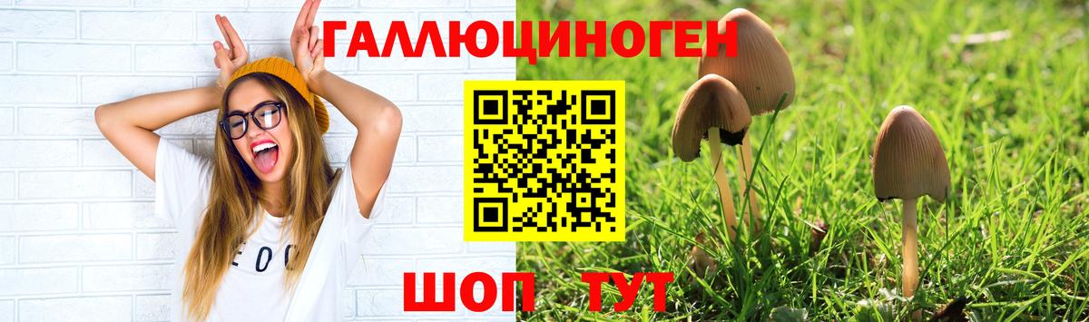 Нижний Новгород  Галлюциногенные грибы мицелий  Вход с VPN 